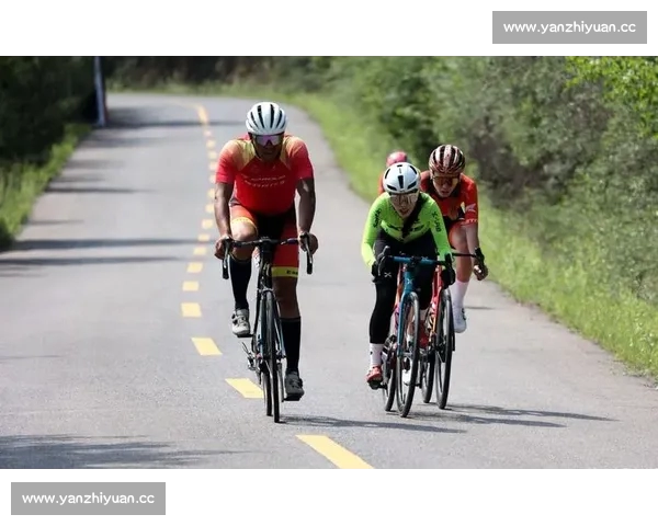 权威体育网站官网一站式赛事资讯数据与互动社区平台服务体验升级